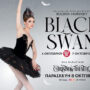 black-swan-show