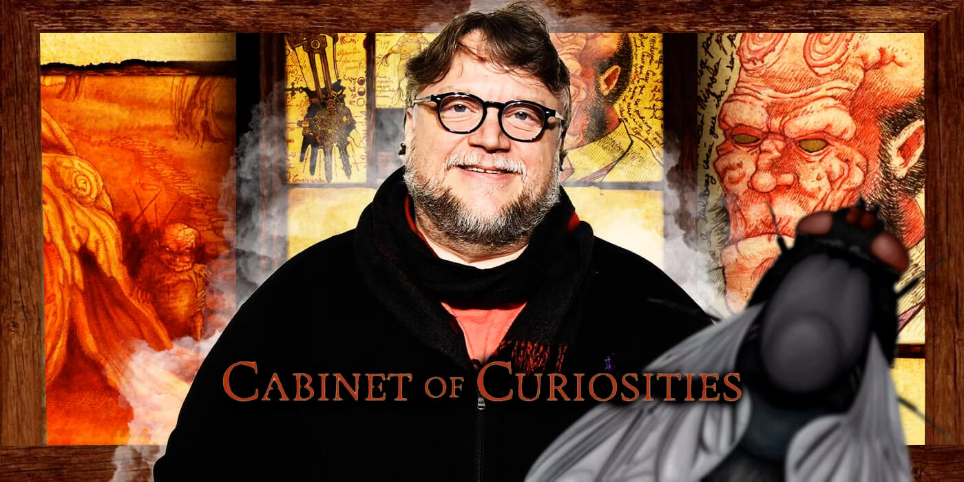 cabinet-of-curiousities (1)