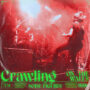 Το "Crawling on the Walls" είναι το νέο single των The Noise Figures!