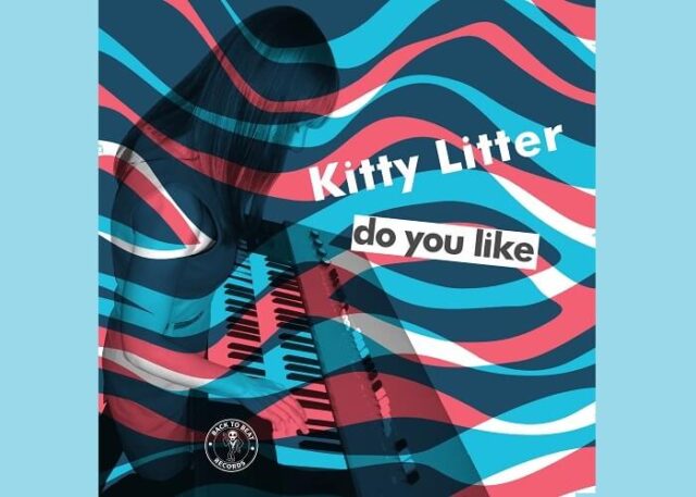 kitty litter