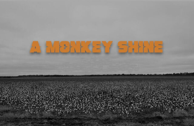 A MONKEY SHINE: Έρχονται με 2 νέα singles