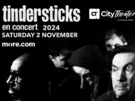 tindersticks