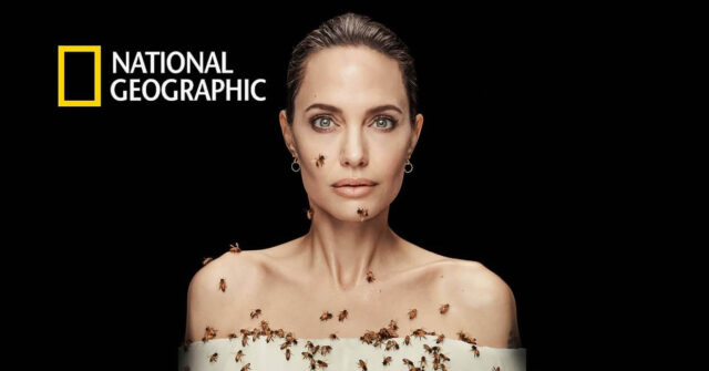 Angelina Jolie and National Geographic