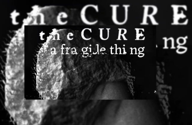 A Fragile Thing-The cure