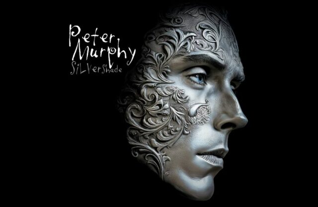 Peter Murphy Silver Shade