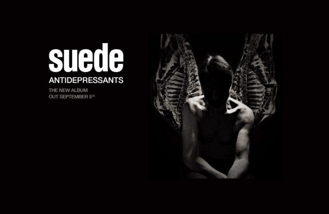 suede upcoming album