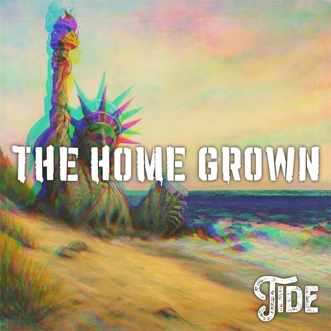 the home grown tide cover