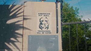 Athens Short Film Festival