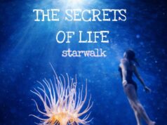 Starwalk: Ένα κινηματογραφικό ηλεκτρονικό ταξίδι με nuevo-tango επιρροές Starwalk