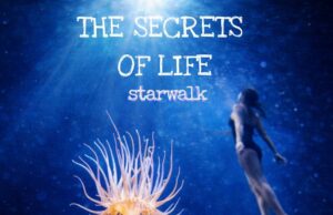 Starwalk: Ένα κινηματογραφικό ηλεκτρονικό ταξίδι με nuevo-tango επιρροές Starwalk