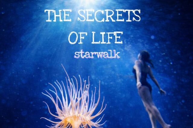 thescrets(artwork low) (1) Starwalk