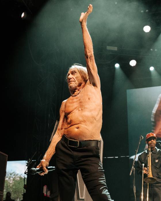Coachella_ - Iggy Pop