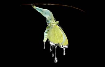 ILIA: Ακούσαμε το minimal hyper pop album, με τίτλο ‘LP2’ Cover_ILIA_LP2