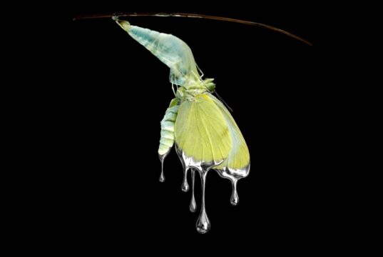 ILIA: Ακούσαμε το minimal hyper pop album, με τίτλο ‘LP2’ Cover_ILIA_LP2