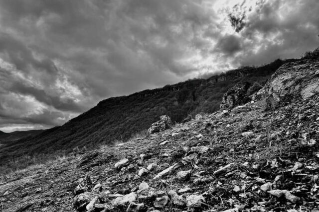 Infernal Storm cover